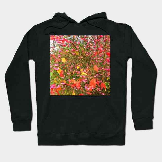 red leaves Hoodie by robelf